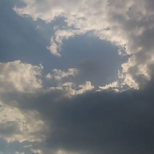 Meet your Posher, Cassie